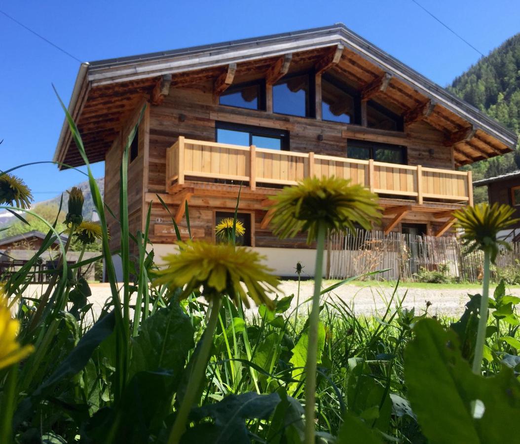 Chalet Le Petit Nicolas, Jacuzzi, Vue Mont Blanc Chamonix Exteriör bild